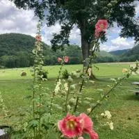 Gorgeous cabin stay near I-77, views, antiques, Wi-fi, wonderful experience for 2!, hotel en Princeton