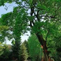 AGROTURYSTYKA "BIKE-OWE RANCZO POD KLONAMI", хотел в Podłazie
