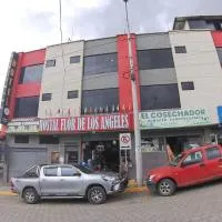 Hostal Flor de los Ángeles Guamote, hotel v mestu Guamote