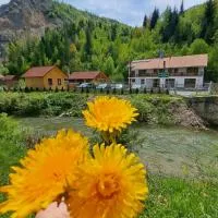Pensiunea Cheile Șugăului, ξενοδοχείο σε Bicaz Chei