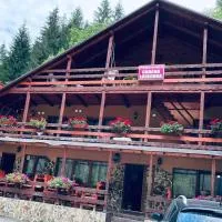 Cabana Loredana, hótel í Vadu Moţilor