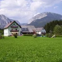 Angererhof-Tragöß am Grünen See, hotel u gradu Grossdorf