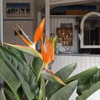 B&B Fischerstüble - adults only, готель у місті Гагнау