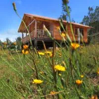 Cabaña Ceeport, hotel near Juan José Rondón Airport - RON, Paipa