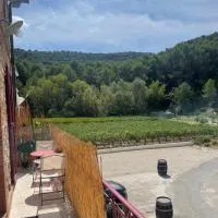 Appartement 1 chambre au milieu du vignoble de Gigondas、ジゴンダスのホテル