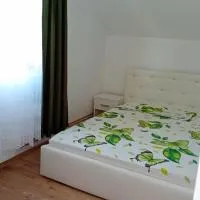 Camera Primăverii 1, hotel di Ruşor