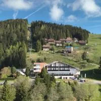 Hotel Alpengasthof Hochegger، فندق في Klippitztorl