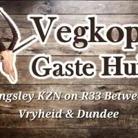 Vegkop Gaste Huis - B&B, hótel í Kingsley