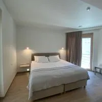 Hotel Plein Air Residence & Resort, hotel en Vatra