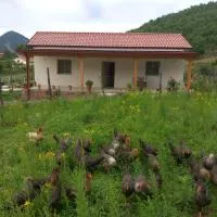 Shpija E AMEL (Sweet Guest House), hotel en Ferr-Shkopet