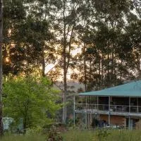 Blue Moon Forest Lodge, hótel í Yanmah