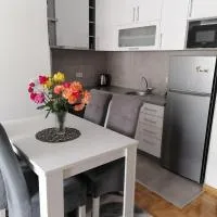 Apartman Zapadni Kej Pirot, hôtel à Pirot