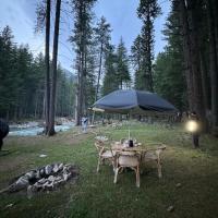 Infinity Villa and Resort Kumrat Valley, hotel poblíž Letiště Čitral - CJL, Tāl