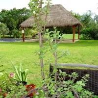 B&B Mom's House, hotel Puerto Aventurasban