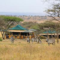 Simba Luxury Serengeti Camp, Hotel in Serengeti-Savanne