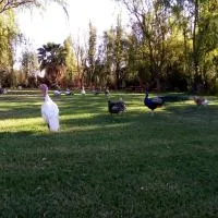 Cabaña de campo Secretos de la Naturaleza, hotell i San Juan