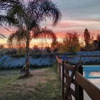 Cabañas del Cerro Mirador、ビージャ・ルミパルのホテル