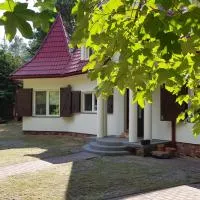Projekt Pluski Komfortowy Dom dla 10 osób nad jeziorem, hotel en Pluski