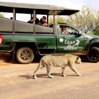 Foxy Crocodile Bush Retreat & Kruger Safari's, hotel Marloth Parkban