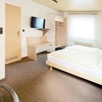 Hotel Victoria، فندق في فايل أم راين
