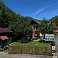 Pensiunea Casa Transalpina, hotel u gradu 'Şugag'