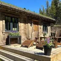 Liaplassen Mountain Chalet - Beitostølen – hotel w mieście Beitostøl