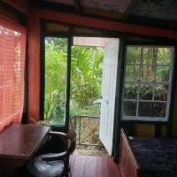 Blue Mountain Wilderness Retreat Jamaica House، فندق في بورت أنطونيو