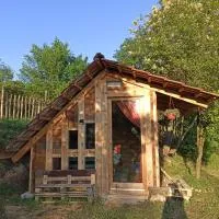 Etno kuca MALAJAC, hotel en Bigrenica