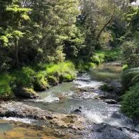 Cone Hill Farmstay - with bush and river walks - 80 sqm self contained, hotel en Hamilton