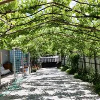 borjomi wood edge, hotel u gradu Borjomi