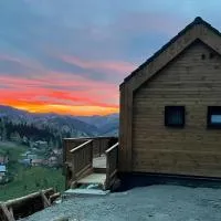 Kaliba Cabins, hotel i Valea Boroş