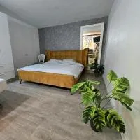 Emile Zola, hotel Risón Lecijónban