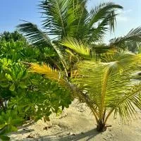 Oi Beach, hotel di Maamigili