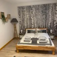 Forest Apartment-Forest Escape Menzenschwand, hotel din St. Blasien