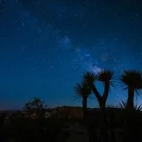 Skelton Compound, Hotel in Twentynine Palms