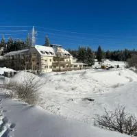 Appartement au pied des pistes avec grande terrasse, hotel em Orbey