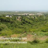 East Coast of Jamaica-Hiking and Camping, hotel en Albion