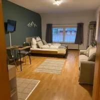 Forest Apartment-Mountain Escape Menzenschwand, hotel din St. Blasien
