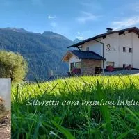 Apart Sunnseita Paznaun, hotel em Langesthei