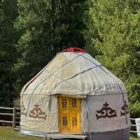 Kolsay Tanbalytas YURTS، فندق في Kolʼbastau