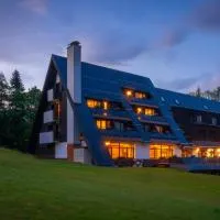 Wellness Hotel Šedý Vlk โรงแรมในฮาร์ราคอฟ
