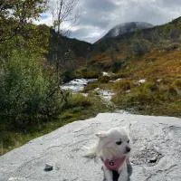 Hardanger Camping Allhovden Mountain & fjord, hotel u gradu 'Norheimsund'