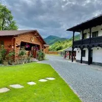 Pensiunea Suci, hotel em Botiza