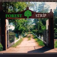 Forest Strip, hotel i Xudat