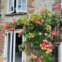 Beautiful 18th century cottage in Arundel, hotel u gradu Arundel