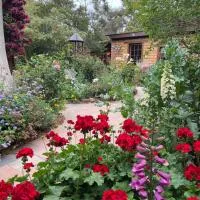 Patricias Garden Studio, hotel en Witchcliffe
