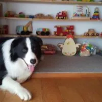 Sarari - Vacation STAY 66365v, hotel in Ichihara