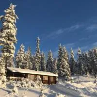Fjällstuga Lofsdalen, отель в городе Лофсдален