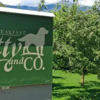 B&B Scotty & Co., отель в городе Суза