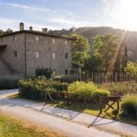Cuprena, hotel a Arezzo